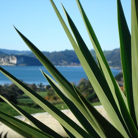 欧胡卡帕里斯住宿加早餐旅馆 怀蒂昂格 外观 照片